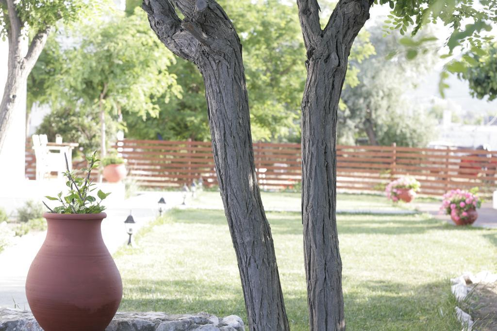 Appartamento Asterias Skyros Esterno foto